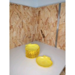 Lot coquilles saint Jacques 