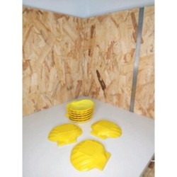 Lot coquilles saint Jacques 