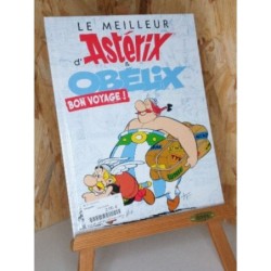 Livre Astérix 