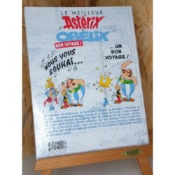 Livre Astérix 