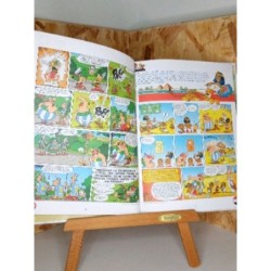 Livre Astérix 