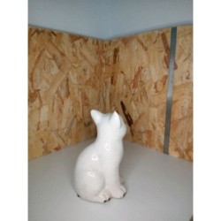 Chat blanc craquele 