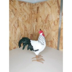 Poule decorative