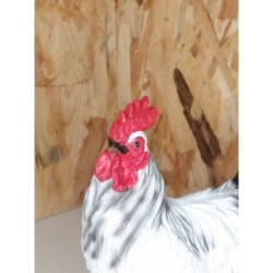 Poule decorative