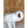 Elephant blanc