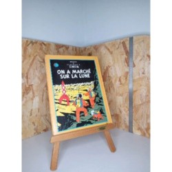 Les aventures de TINTIN