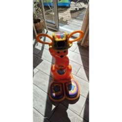 Kangourou  sauteur