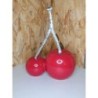 Cerises décorative