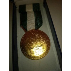 Medaille vert et blanc 