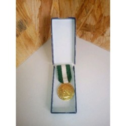 Medaille vert et blanc 