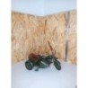 Side Car
