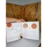 Livre recettes babycook