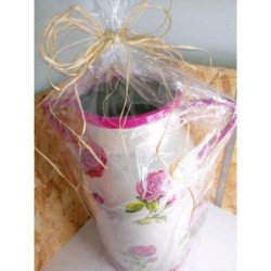 Broc Rose