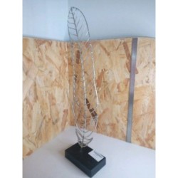 Plume decorative