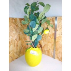 Vase citron