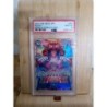 Carte One piece 