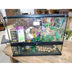 Terrarium
