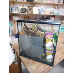 Terrarium