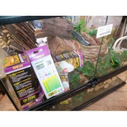 Terrarium