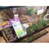 Terrarium
